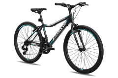 Bicikl GALAXY FESTINA 26"/18