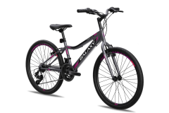 Bicikl GALAXY FESTINA 24"/18