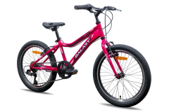 Bicikl GALAXY FESTINA 20"/6